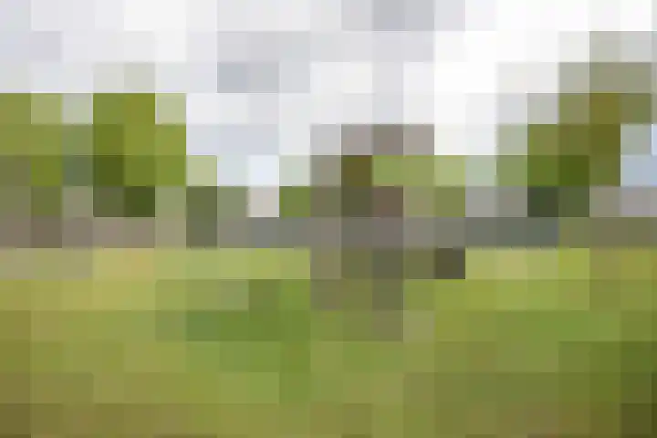 Weeresteinlaan 12 Utrecht thumbnail 46