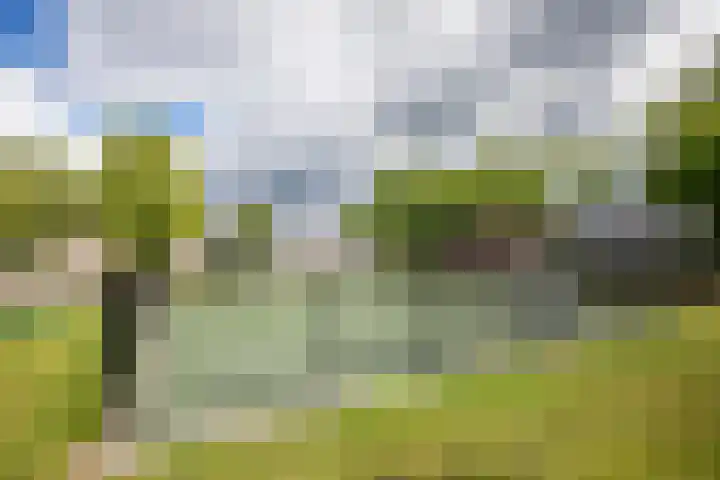 Weeresteinlaan 12 Utrecht thumbnail 48