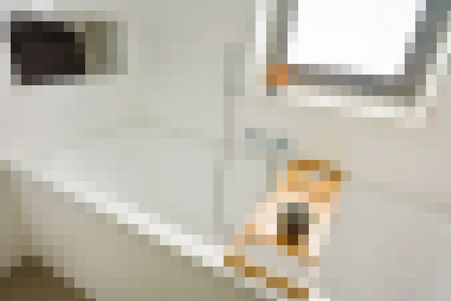 Weeresteinlaan 14 Utrecht thumbnail 36