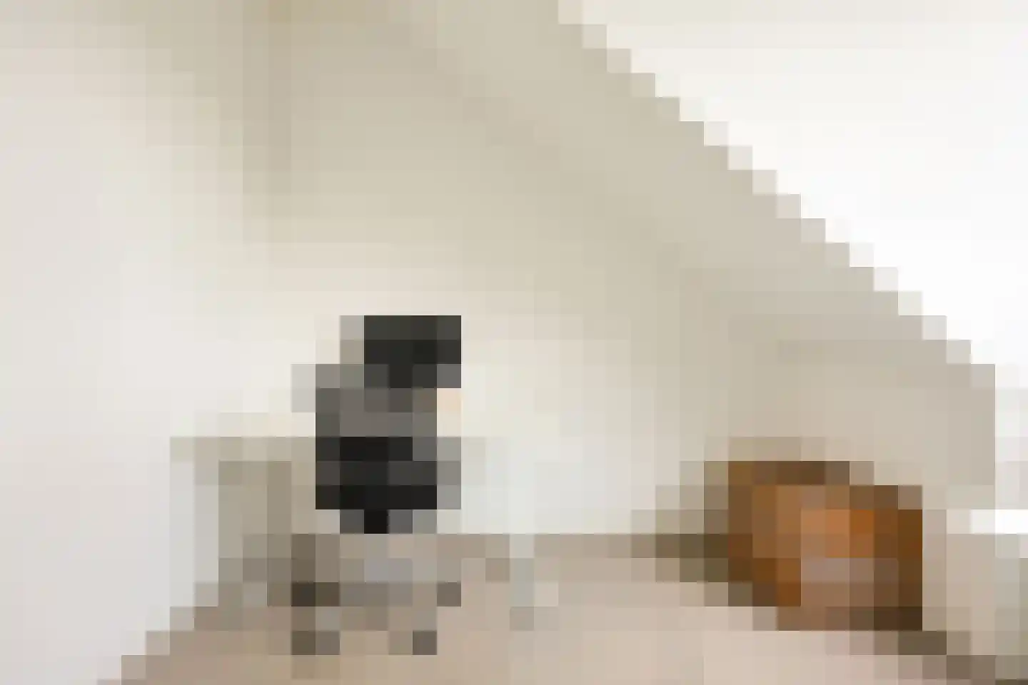 Weeresteinlaan 14 Utrecht thumbnail 45