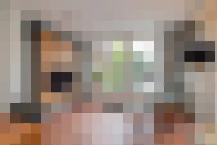 Weeresteinstraat 100 Hillegom thumbnail 12