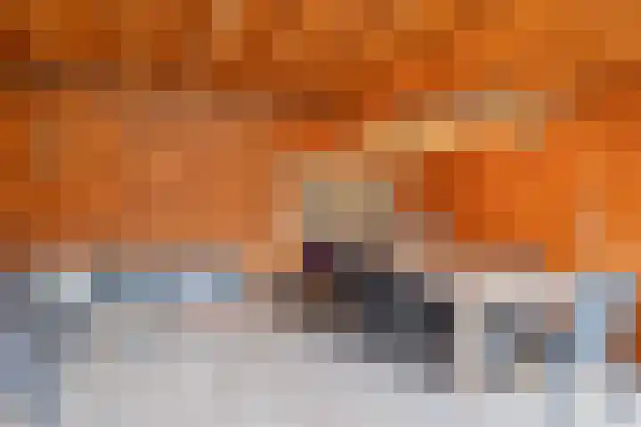 Weeresteinstraat 100 Hillegom thumbnail 26