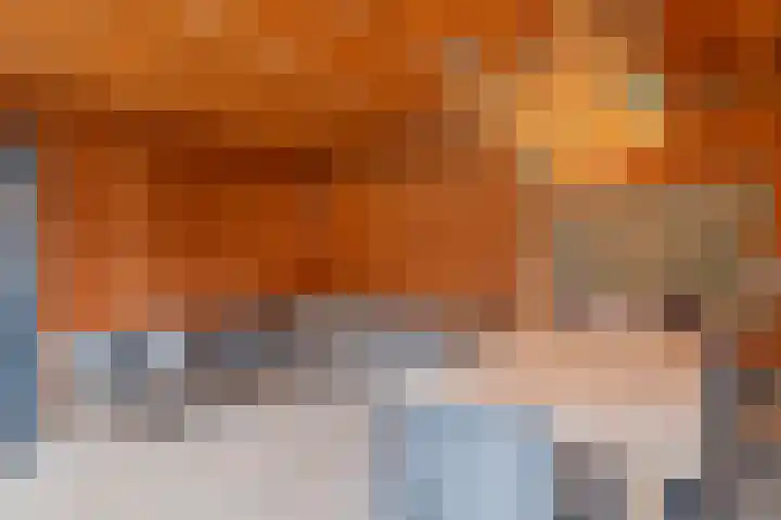 Weeresteinstraat 100 Hillegom thumbnail 28