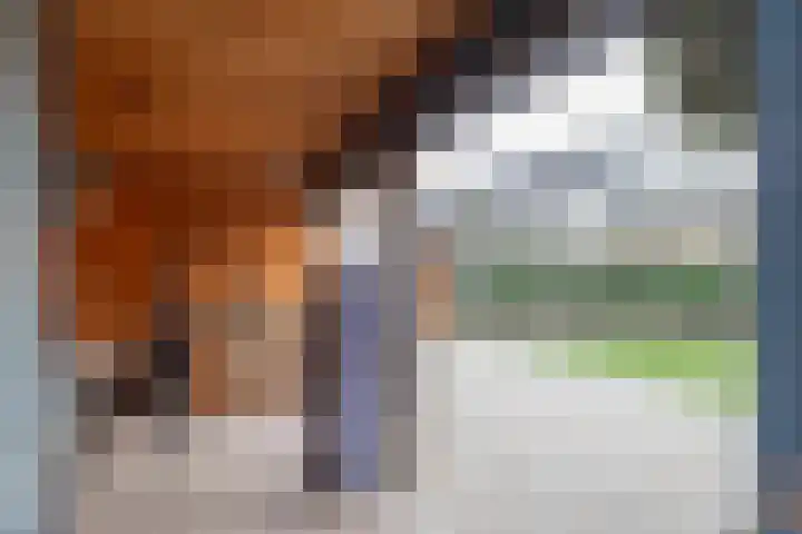 Weeresteinstraat 100 Hillegom thumbnail 32