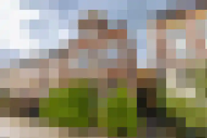 Weeresteinstraat 101 Hillegom