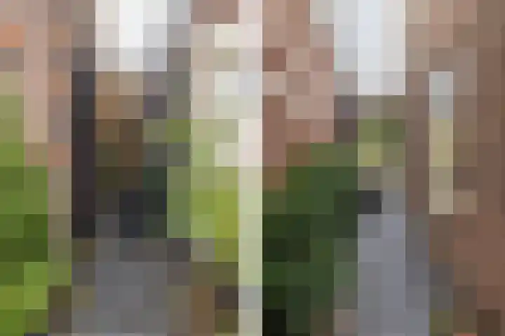 Weeresteinstraat 101 Hillegom thumbnail 19