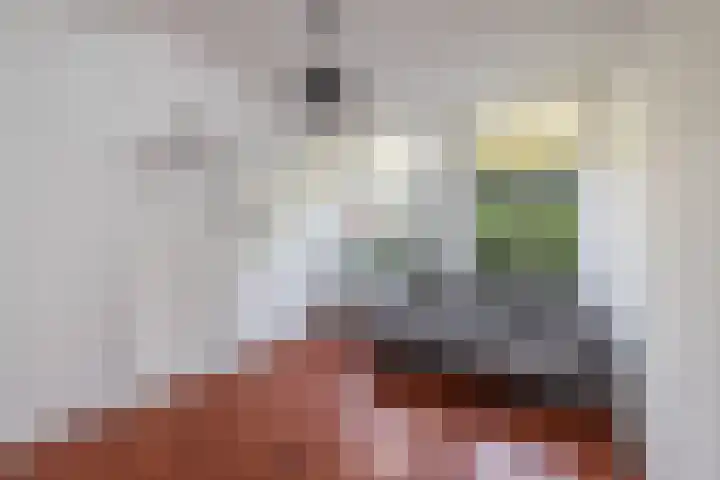 Weeresteinstraat 101 Hillegom thumbnail 7