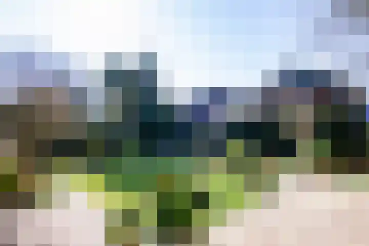 Weeresteinstraat 144 Hillegom thumbnail 18