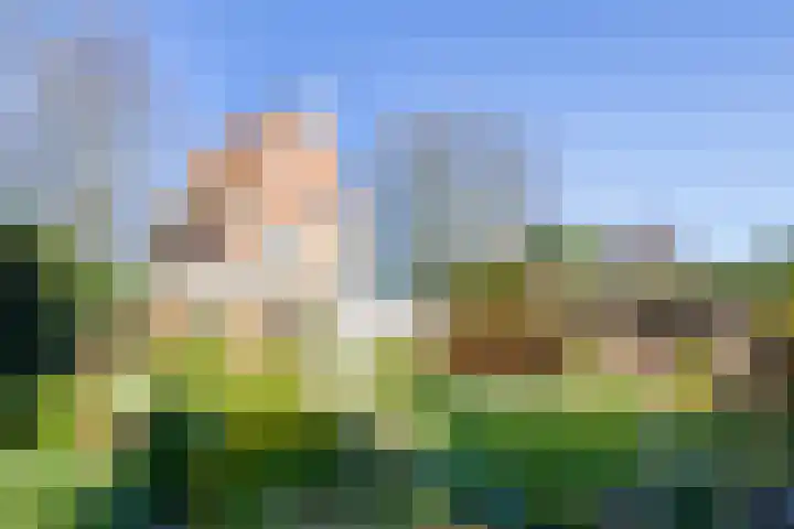 Weeresteinstraat 144 Hillegom thumbnail 21