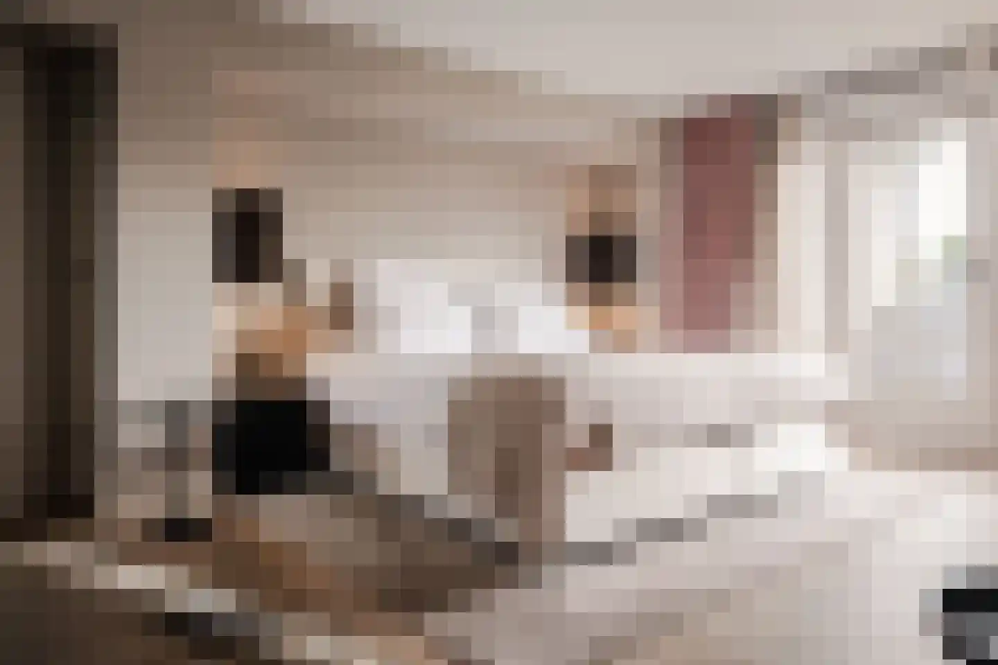 Weeresteinstraat 201 Hillegom thumbnail 22