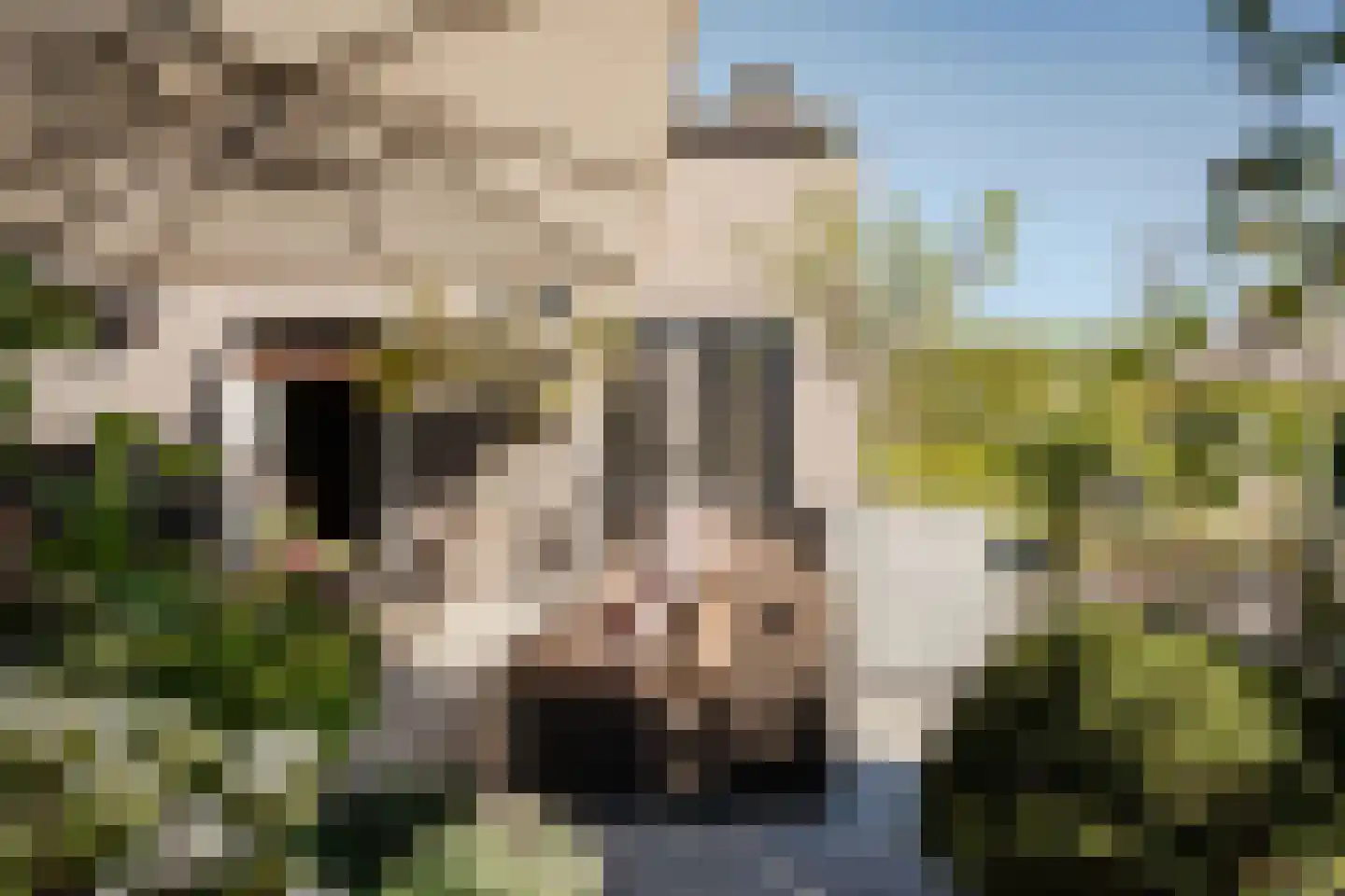 Weeresteinstraat 201 Hillegom thumbnail 32