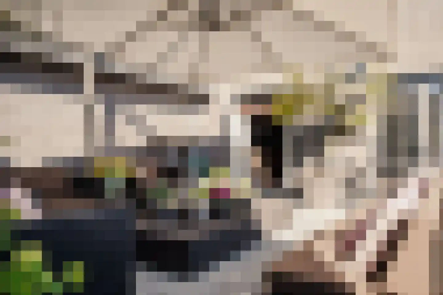 Weeresteinstraat 201 Hillegom thumbnail 33