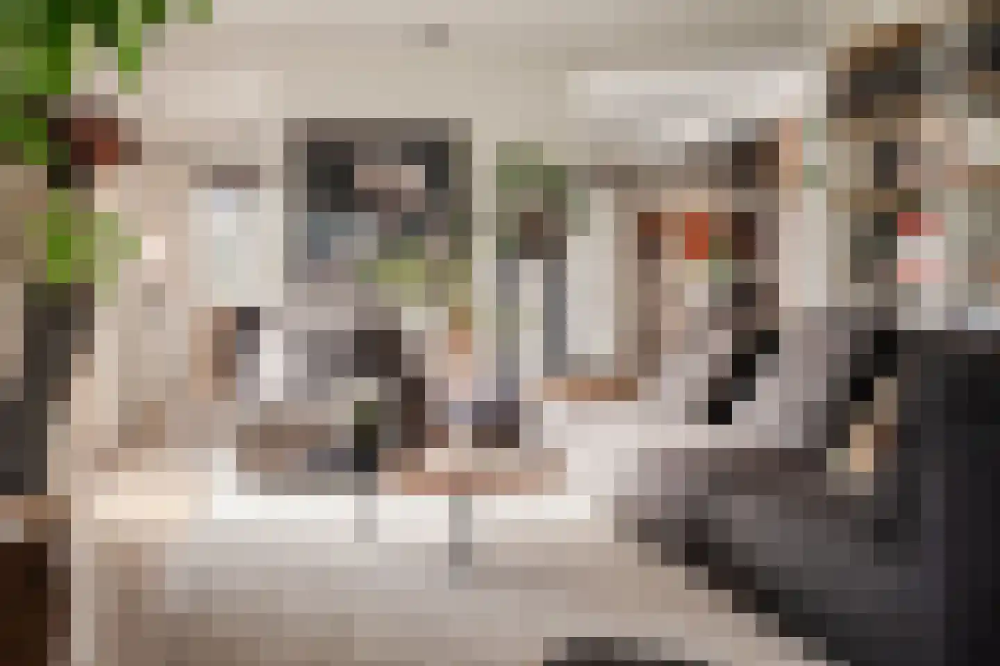 Weeresteinstraat 201 Hillegom thumbnail 8