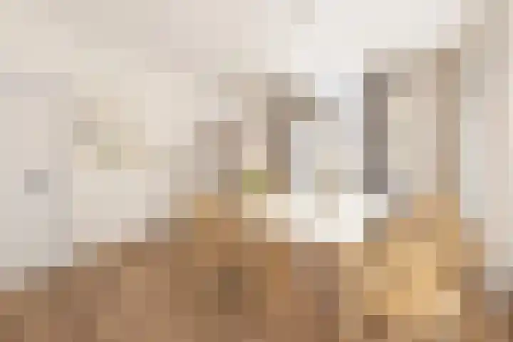 Weeresteinstraat 23 A Hillegom thumbnail 15