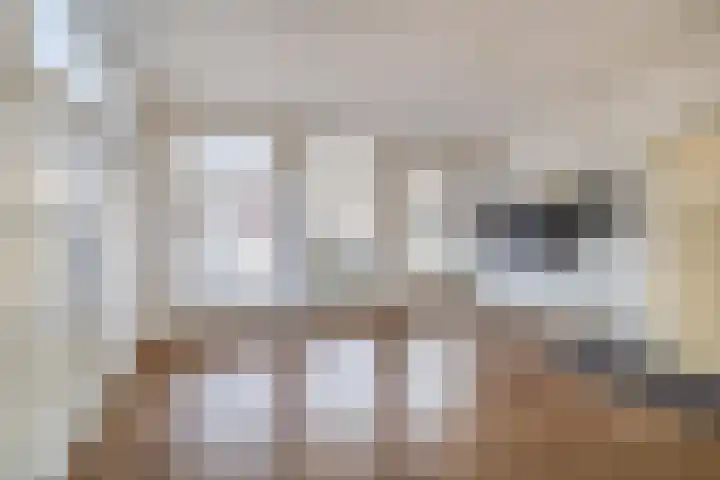 Weeresteinstraat 23 A Hillegom thumbnail 5