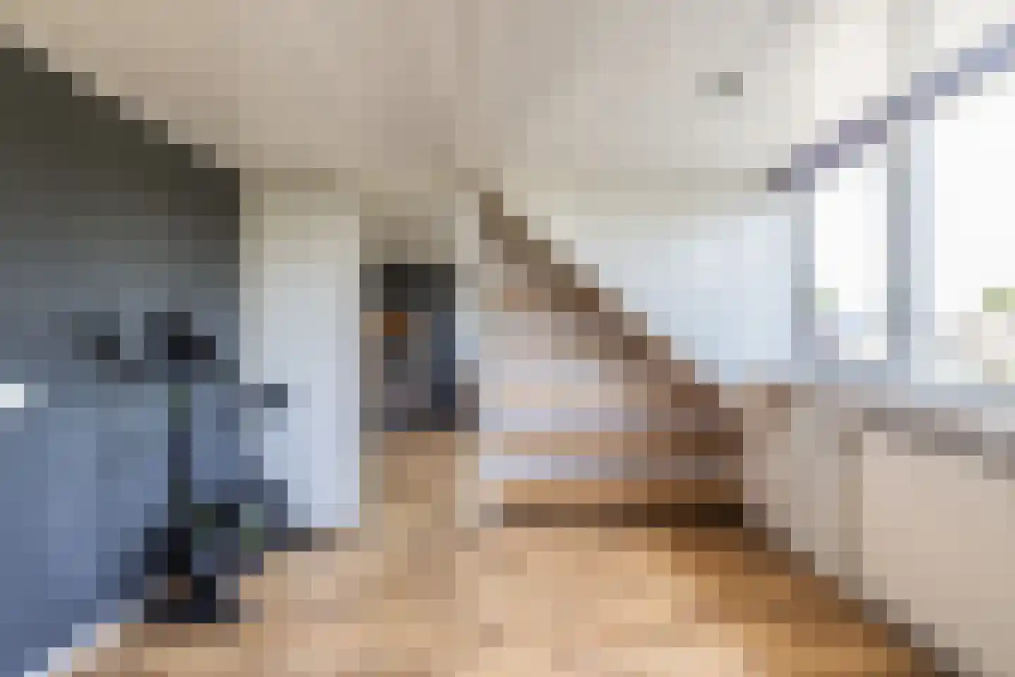 Weeresteinstraat 38 Hillegom thumbnail 34