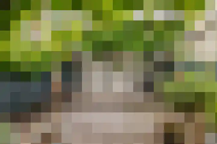 Weeresteinstraat 71 Hillegom thumbnail 15