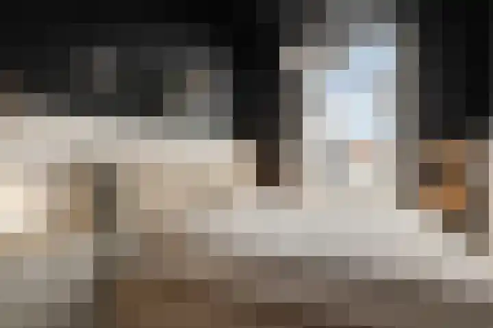 Weeresteinstraat 71 Hillegom thumbnail 20