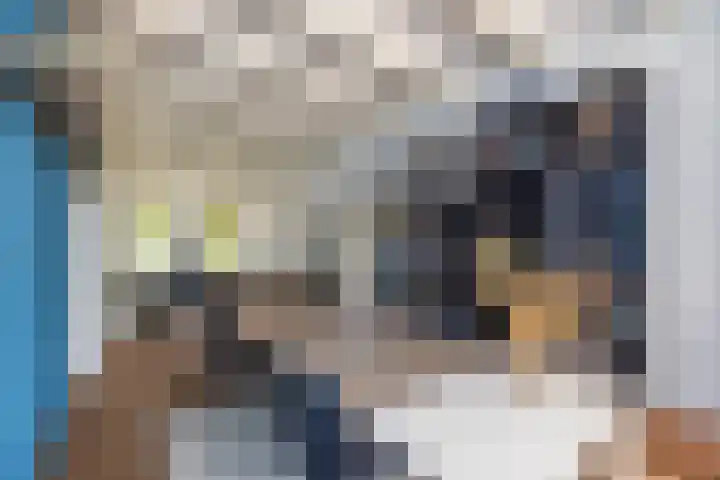 Weeresteinstraat 91 Hillegom thumbnail 10