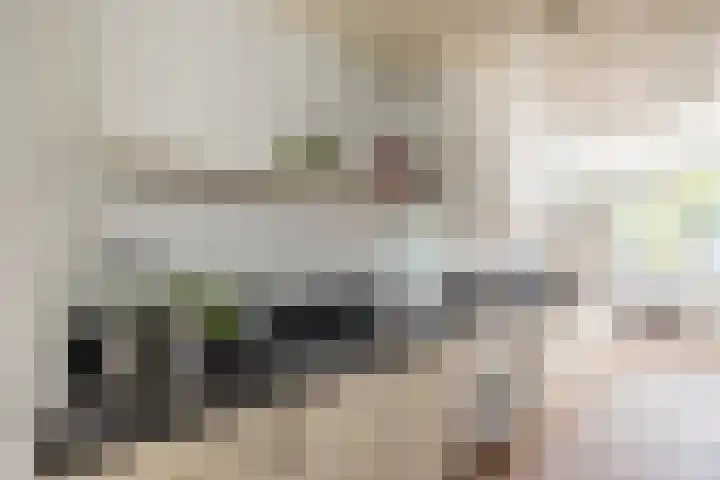 Weeresteinstraat 91 Hillegom thumbnail 13