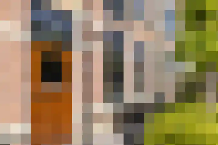 Weeresteinstraat 91 Hillegom thumbnail 6
