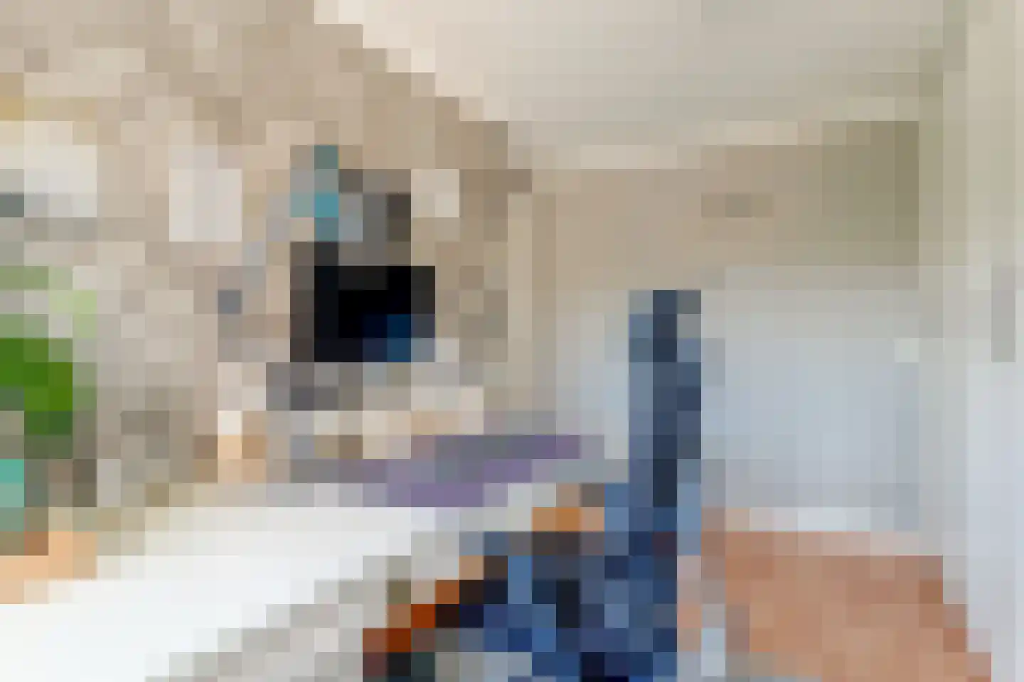 Weerestraat 27 Obdam thumbnail 34