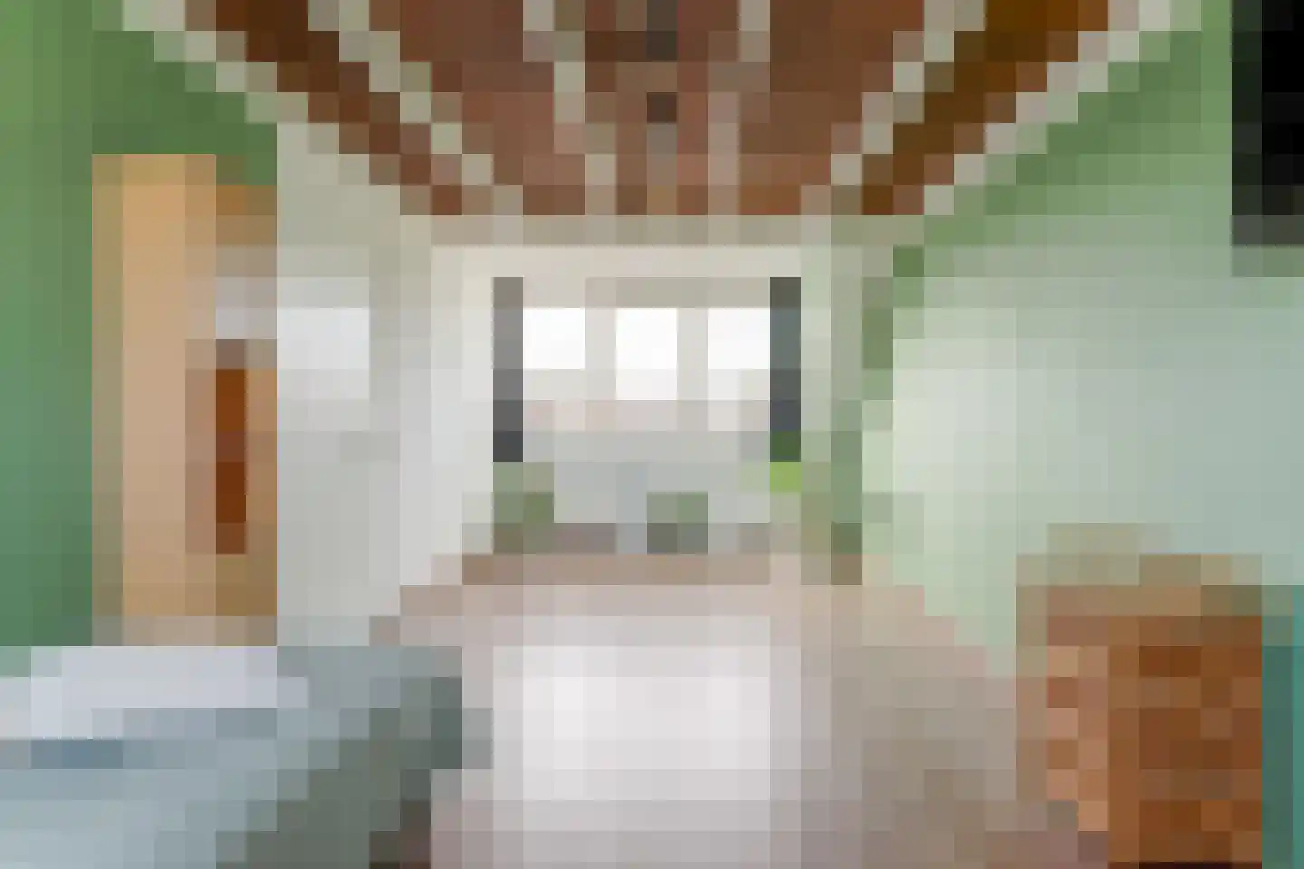 Weerestraat 27 Obdam thumbnail 47