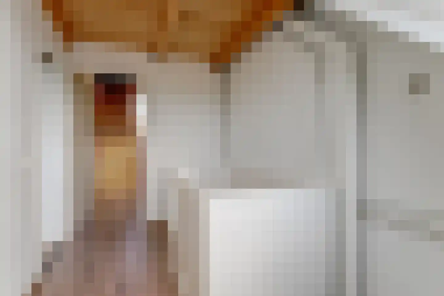 Weerestraat 27 Obdam thumbnail 48