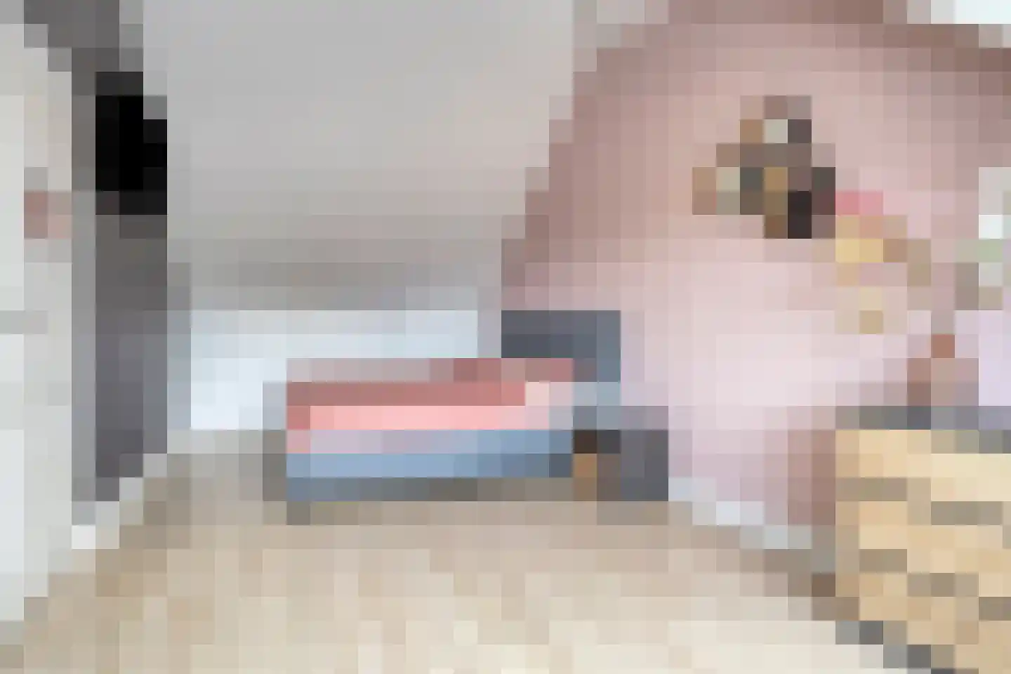 Weerestraat 41 Obdam thumbnail 34