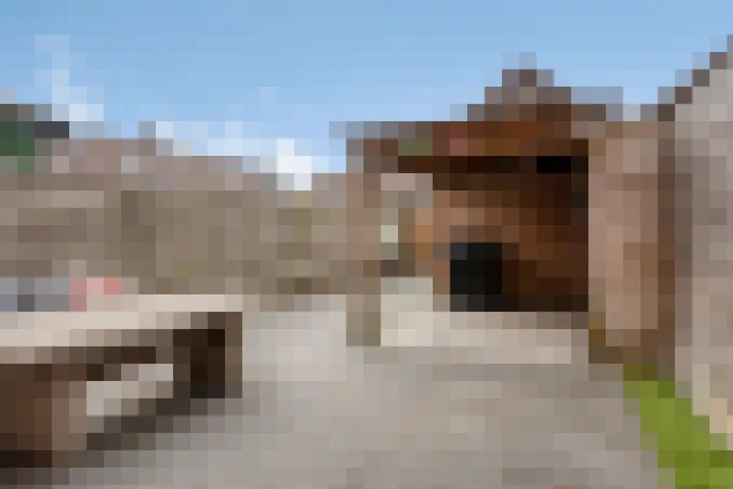 Weerestraat 41 Obdam thumbnail 36