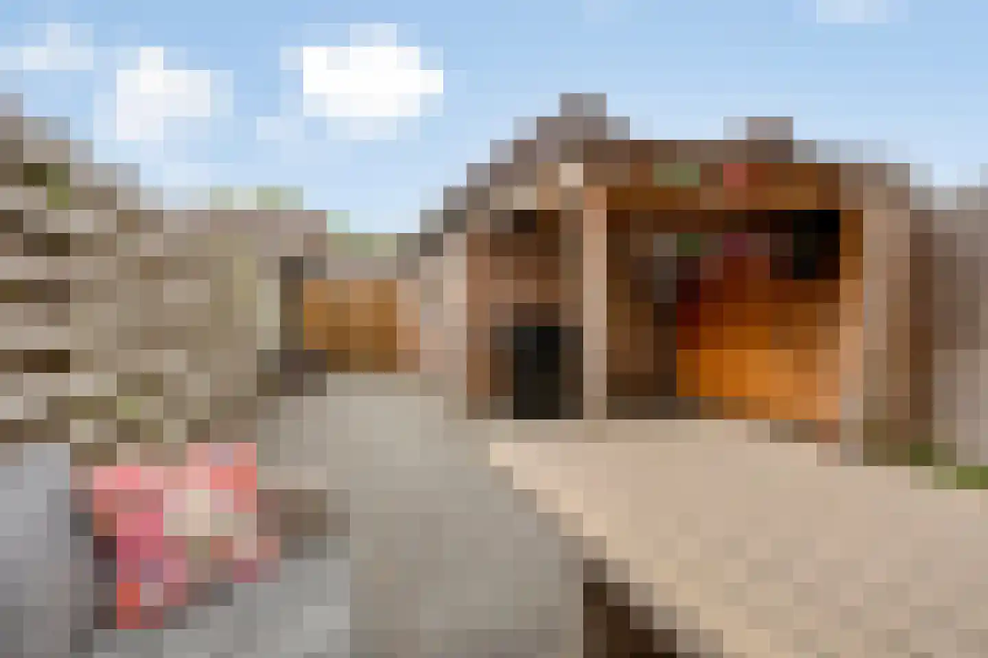 Weerestraat 41 Obdam thumbnail 37