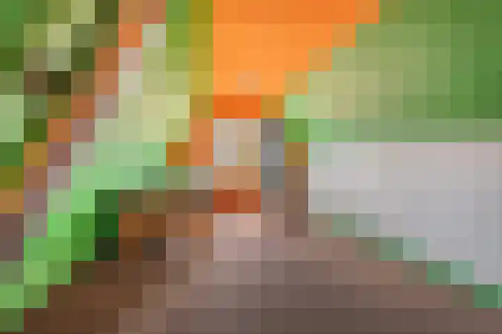 Weereweg 15 Tjuchem thumbnail 36