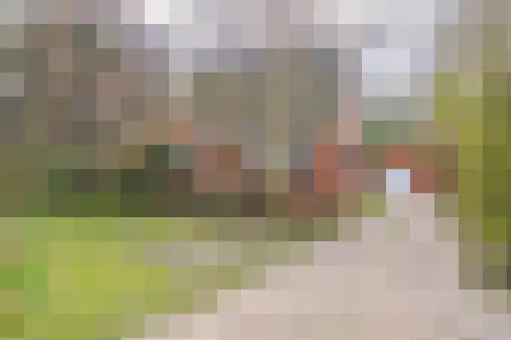 Weereweg 15 Tjuchem thumbnail 4