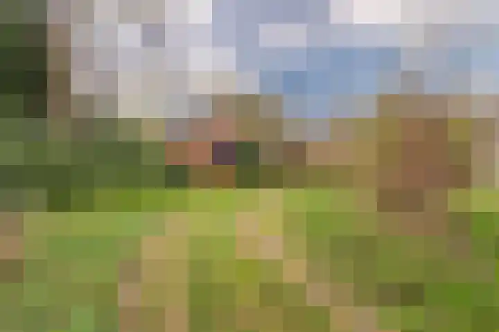 Weereweg 15 Tjuchem thumbnail 44