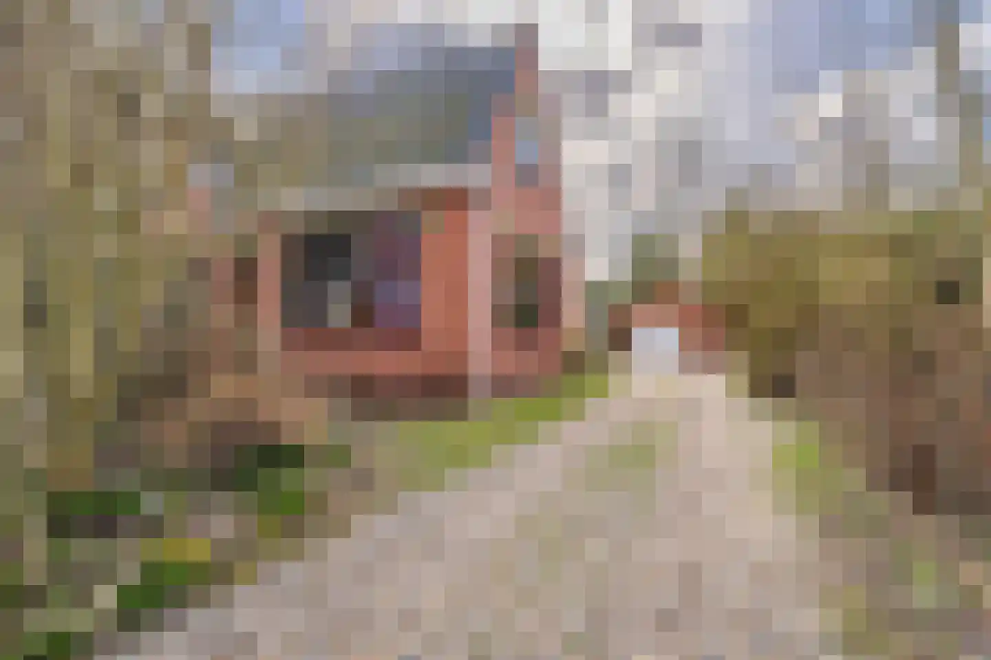 Weereweg 15 Tjuchem thumbnail 46