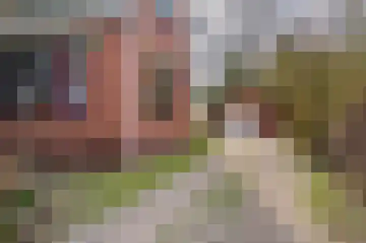 Weereweg 15 Tjuchem thumbnail 47