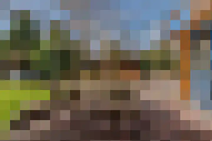 Weereweg 15 Tjuchem thumbnail 54