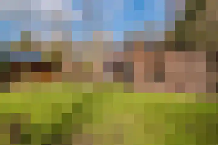 Weereweg 15 Tjuchem thumbnail 55
