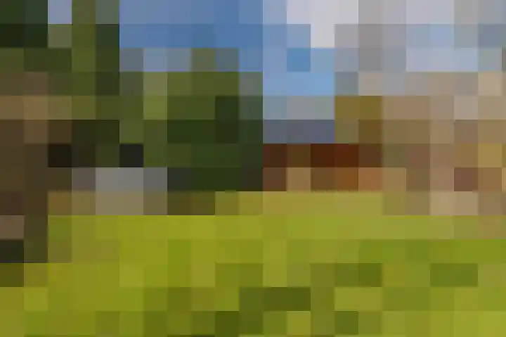 Weereweg 15 Tjuchem thumbnail 56