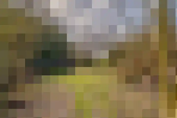 Weereweg 15 Tjuchem thumbnail 57