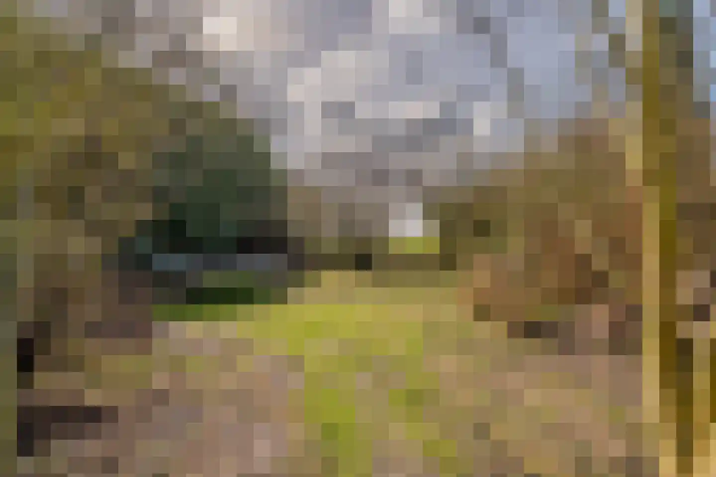Weereweg 15 Tjuchem thumbnail 57