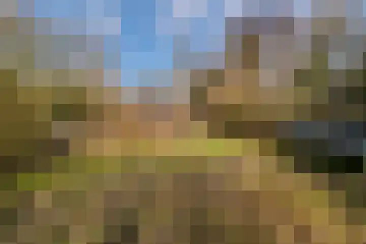 Weereweg 15 Tjuchem thumbnail 58