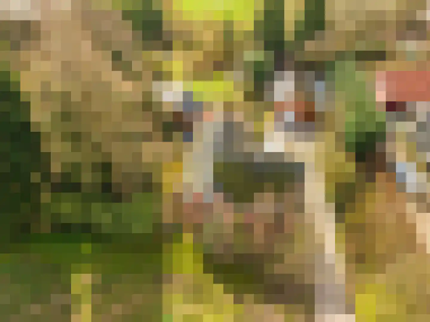 Weereweg 15 Tjuchem thumbnail 61