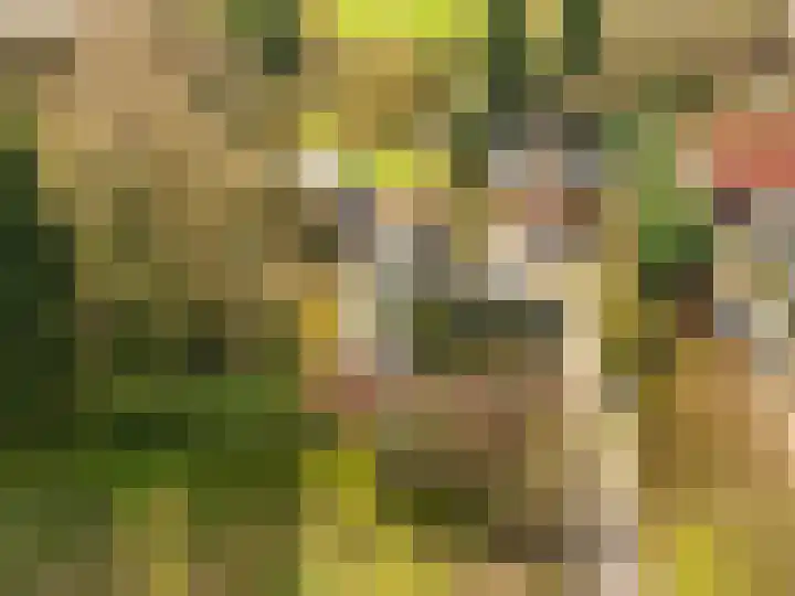 Weereweg 15 Tjuchem thumbnail 61
