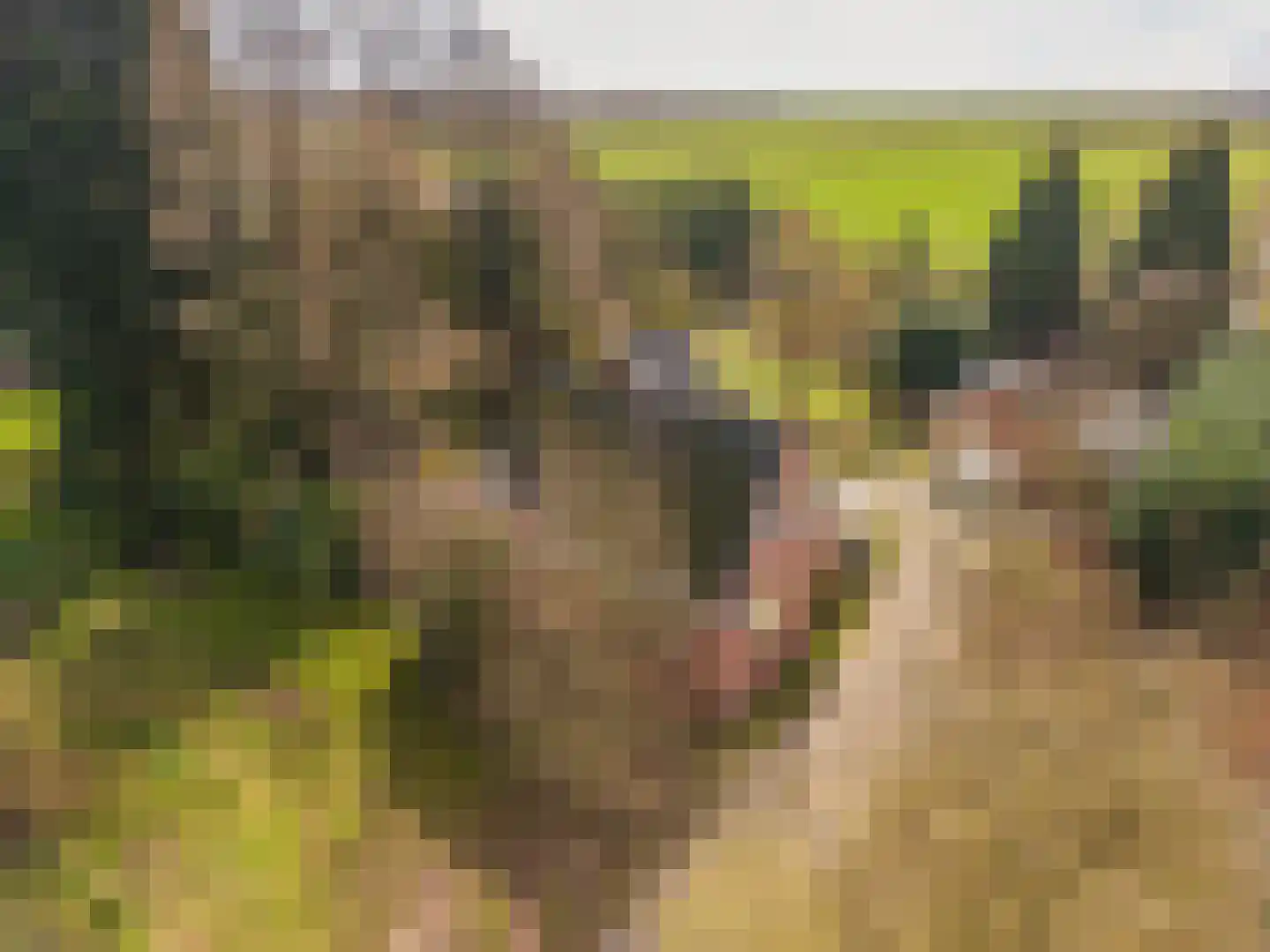 Weereweg 15 Tjuchem thumbnail 62