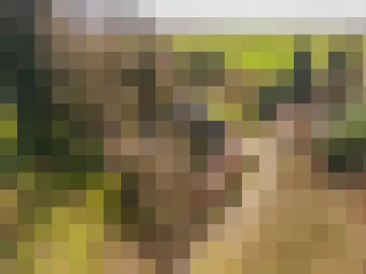 Weereweg 15 Tjuchem thumbnail 62