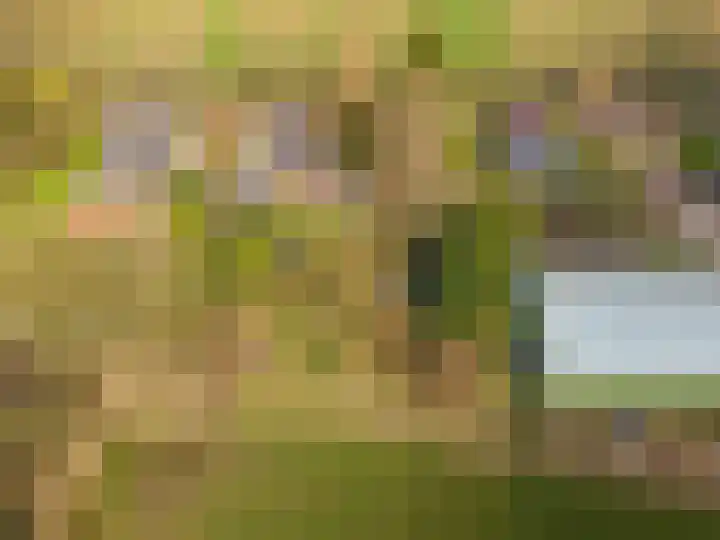 Weereweg 15 Tjuchem thumbnail 64