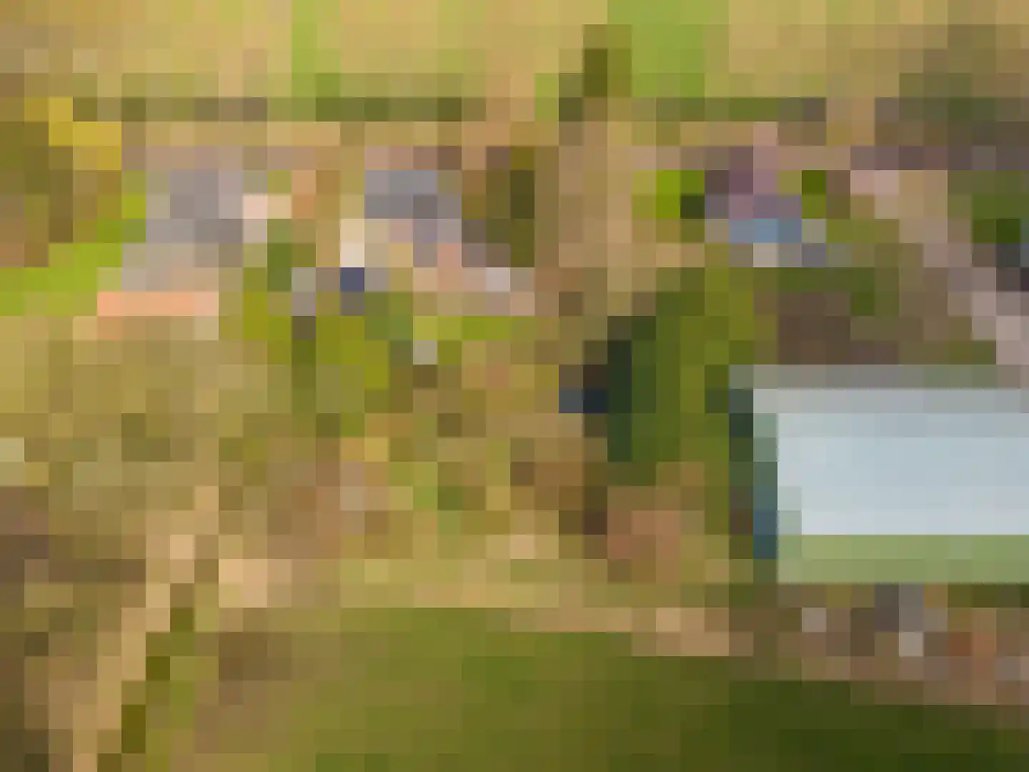 Weereweg 15 Tjuchem thumbnail 64