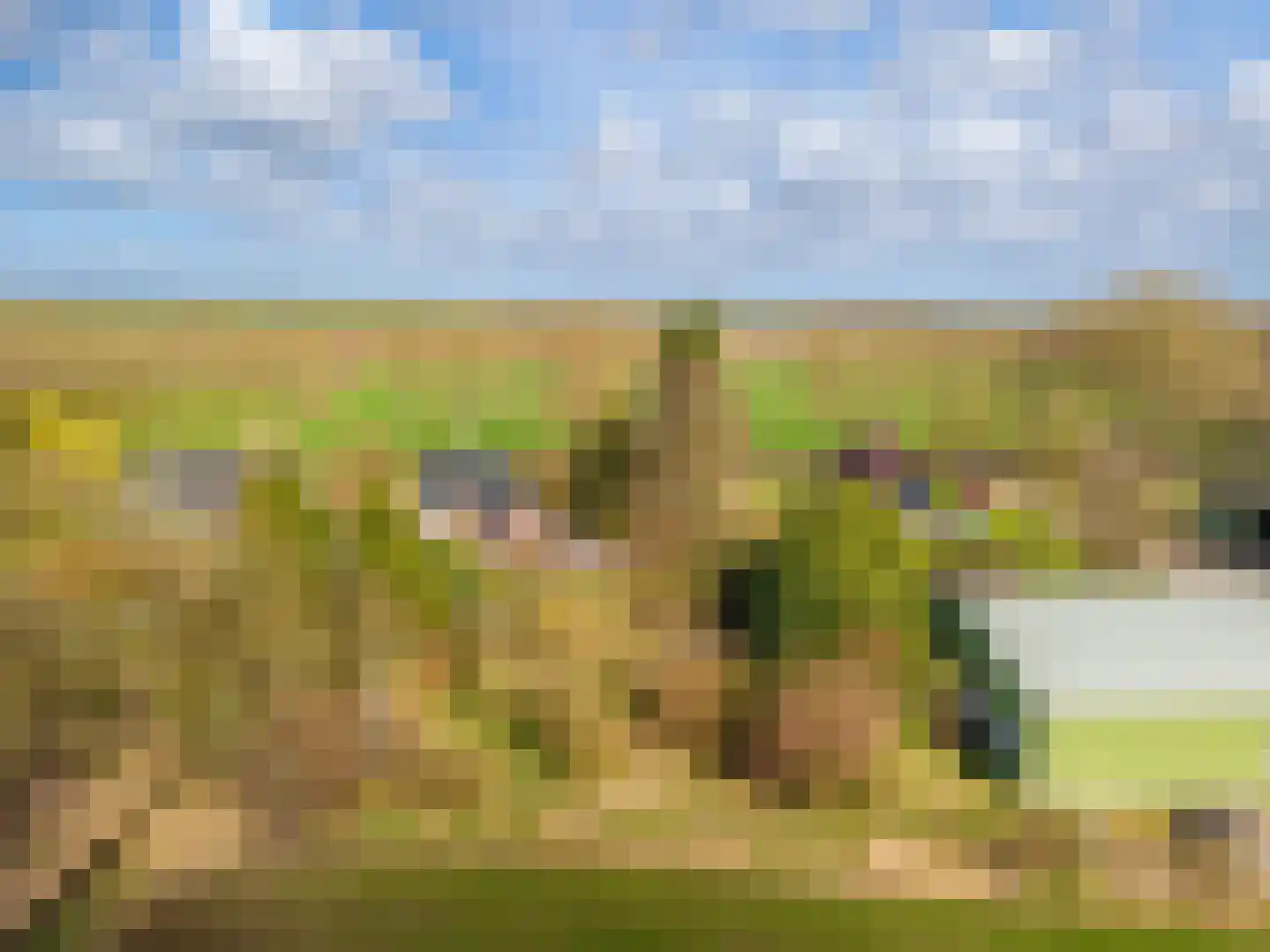 Weereweg 15 Tjuchem thumbnail 65