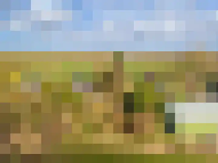 Weereweg 15 Tjuchem thumbnail 65